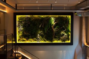 jardines verticales - cuadro con luz altava