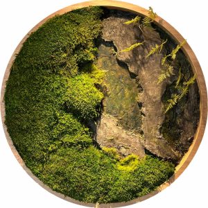 cuadro vegetal circular