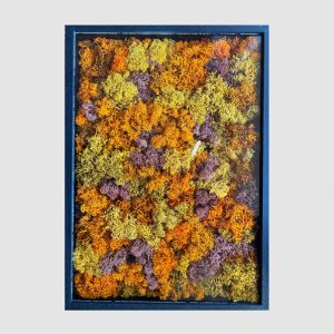 Cuadro Musgo Finlandés Rectangular de colores