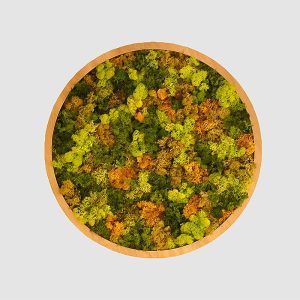 cuadro vegetal circular de colores verdes y amarillos