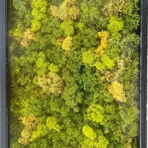 cuadro vegetal rectangular de color verde