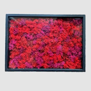 cuadro vegetal rectangular de color rojo