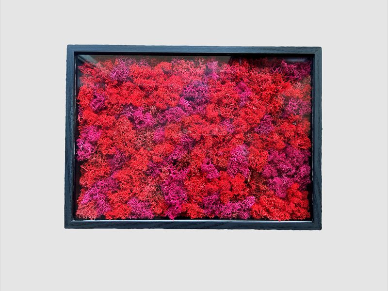 cuadro vegetal rectangular de color rojo